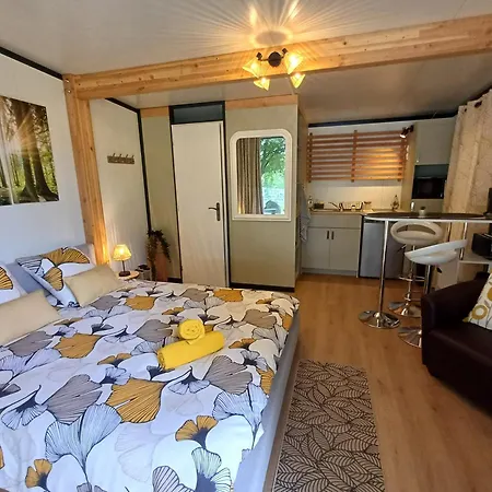 Camping Etang Du Camp Senergues