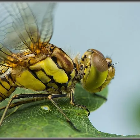 Campingplatz Etang Du Camp