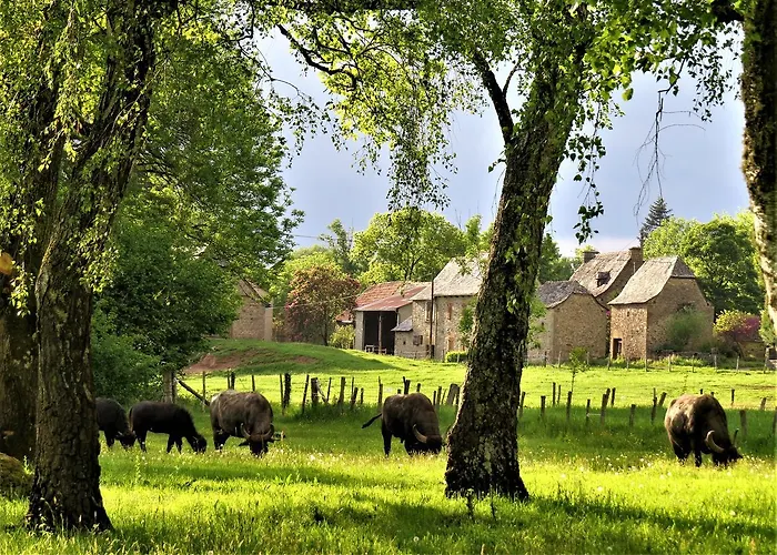 Etang Du Camp 3* Senergues